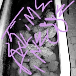 Meet your Posher, Adam